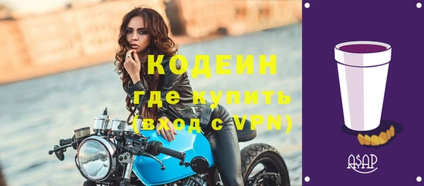 соль ск Бикин