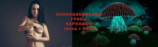 кокс Алексин
