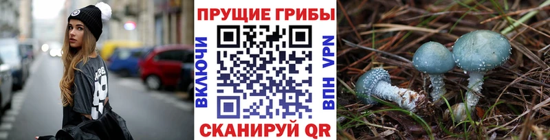Галлюциногенные грибы MAGIC MUSHROOMS где продают наркотики Арсеньев