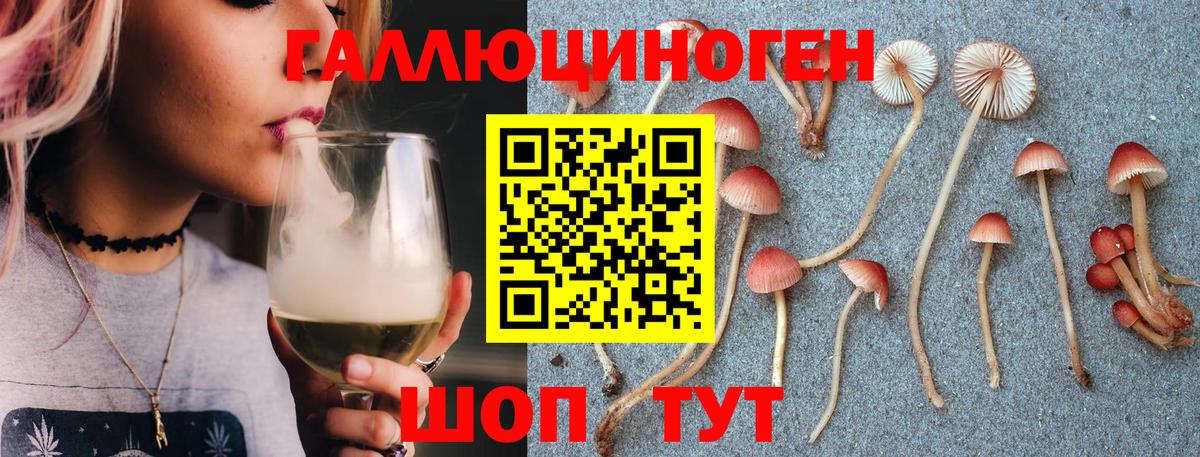 Арсеньев  Галлюциногенные грибы Magic Shrooms  Вход с VPN 